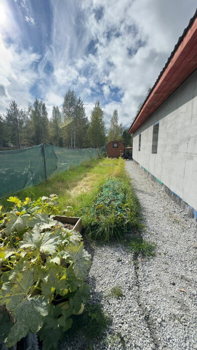 г. Верхняя Пышма, район Снт Звездочка (городской округ Верхняя Пышма) - фото сада (8)