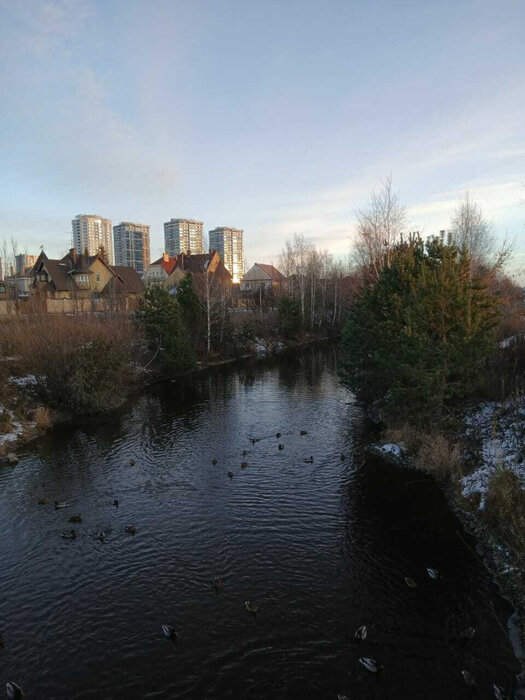 Екатеринбург, ул. Амундсена, 165 - фото квартиры (5)