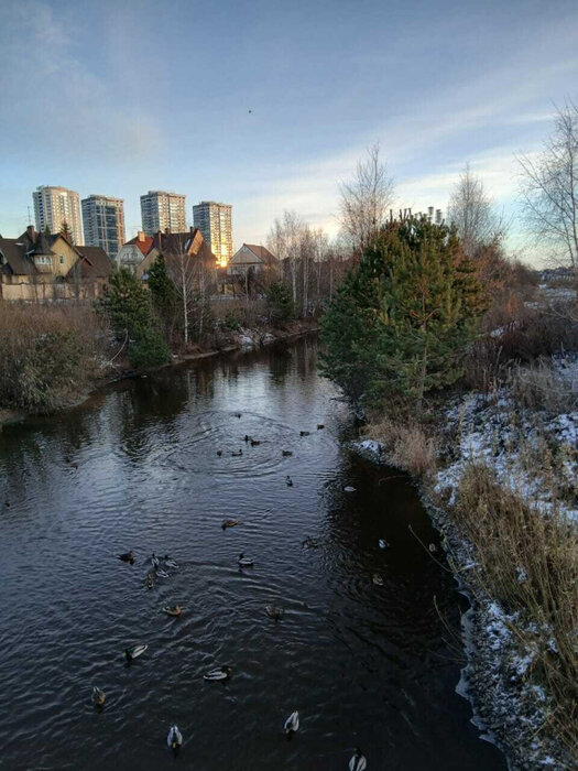 Екатеринбург, ул. Амундсена, 165 - фото квартиры (7)