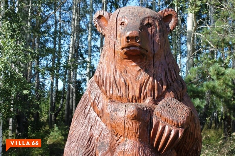 к.п. Лукоморье, ул. Лукоморье, 50 (городской округ Сысертский, с. Щелкун) - фото земельного участка (8)
