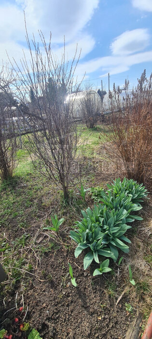 г. Ревда, СОТ 