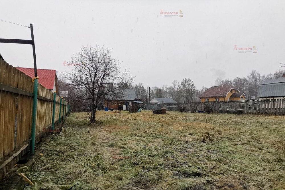 Екатеринбург, ул. Надежда-2 (Полеводство) - фото земельного участка (6)