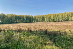 к.п. Семейные традиции (городской округ Первоуральск, п. Хрустальная) - фото земельного участка