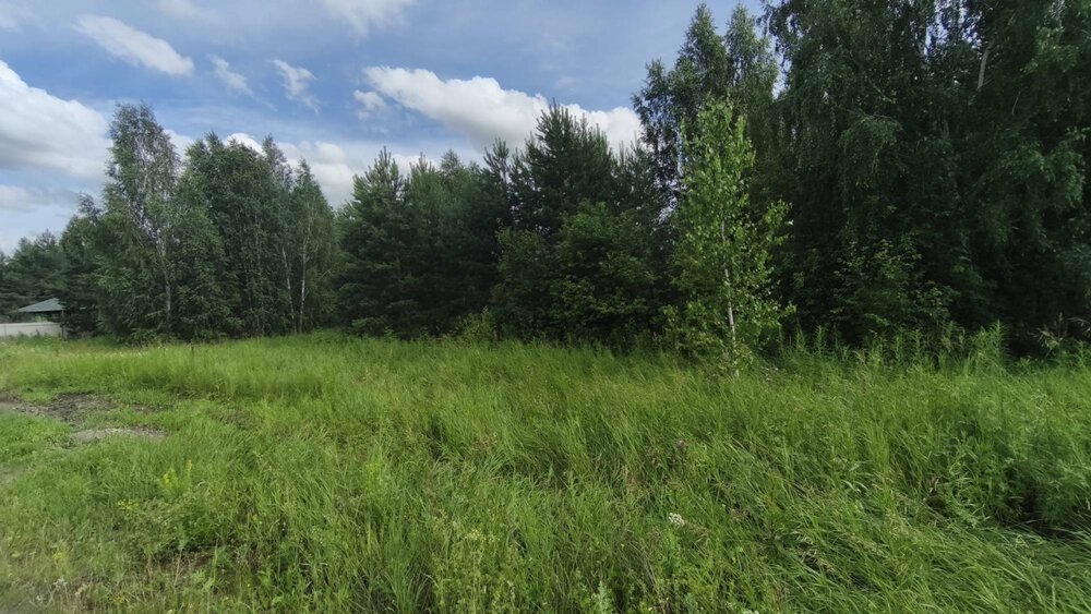 к.п. Александрия, ул. Девятая, 14 (городской округ Белоярский, д. Гусева) - фото земельного участка (10)