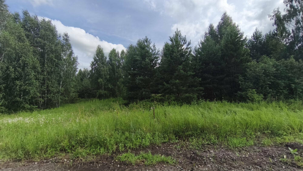 к.п. Александрия, ул. Девятая, 14 (городской округ Белоярский, д. Гусева) - фото земельного участка (11)