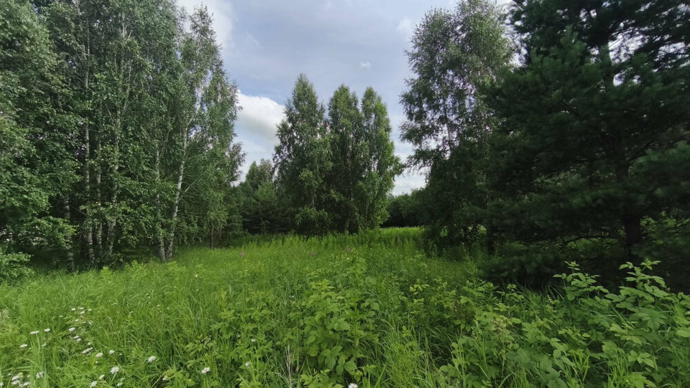 к.п. Александрия, ул. Девятая, 14 (городской округ Белоярский, д. Гусева) - фото земельного участка (12)