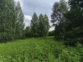 Продажа земельного участка: к.п. Александрия, ул. Девятая, 14 (городской округ Белоярский, д. Гусева) - Фото 12