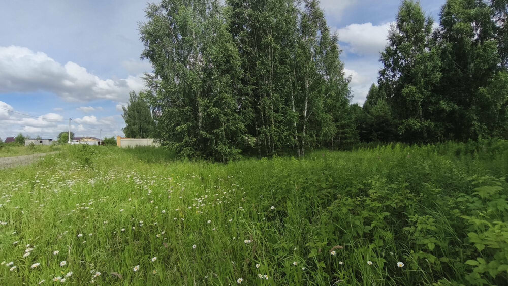 к.п. Александрия, ул. Девятая, 14 (городской округ Белоярский, д. Гусева) - фото земельного участка (13)