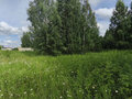 Продажа земельного участка: к.п. Александрия, ул. Девятая, 14 (городской округ Белоярский, д. Гусева) - Фото 13
