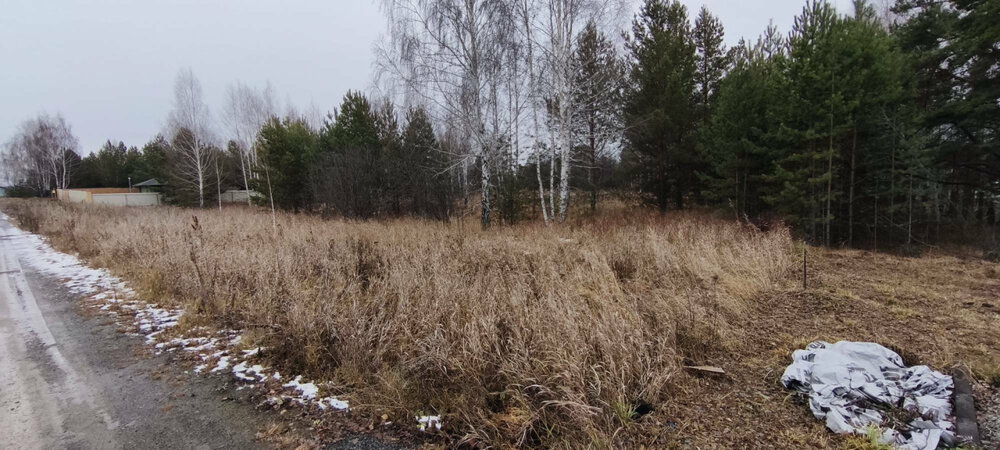 к.п. Александрия, ул. Девятая, 14 (городской округ Белоярский, д. Гусева) - фото земельного участка (3)