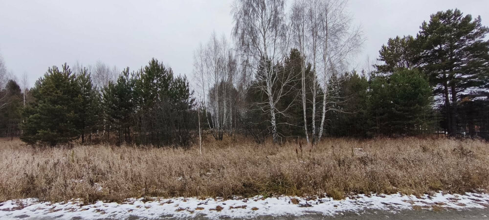 к.п. Александрия, ул. Девятая, 14 (городской округ Белоярский, д. Гусева) - фото земельного участка (5)