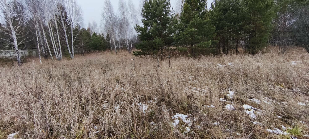 к.п. Александрия, ул. Девятая, 14 (городской округ Белоярский, д. Гусева) - фото земельного участка (7)