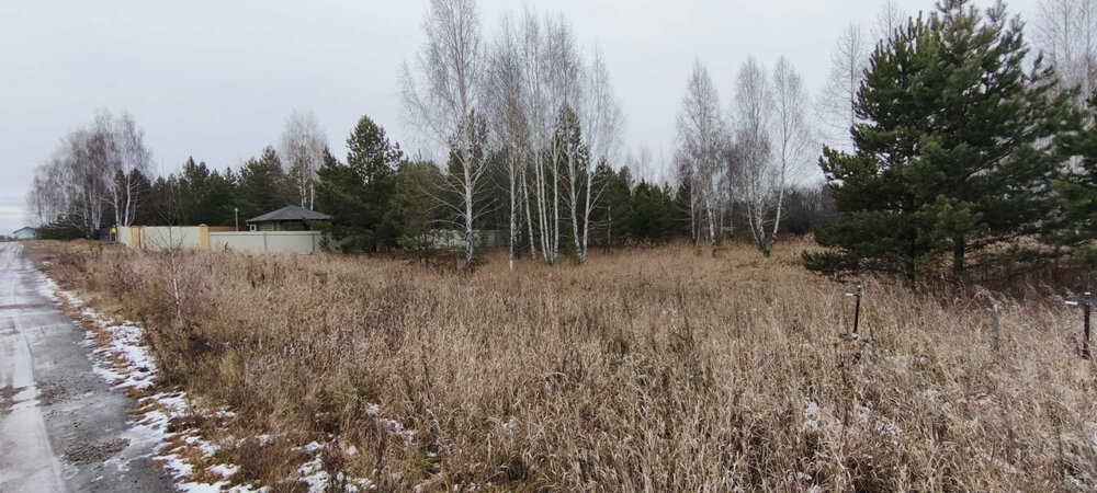 к.п. Александрия, ул. Девятая, 14 (городской округ Белоярский, д. Гусева) - фото земельного участка (8)