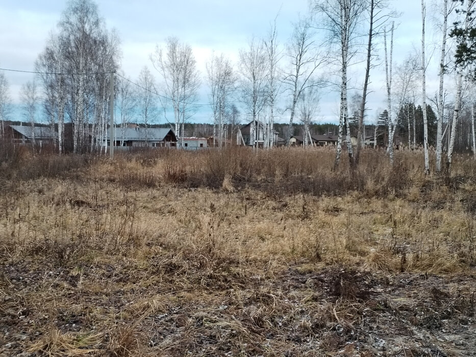 с. Кашино, ул. Лесной ручей (городской округ Сысертский) - фото земельного участка (1)