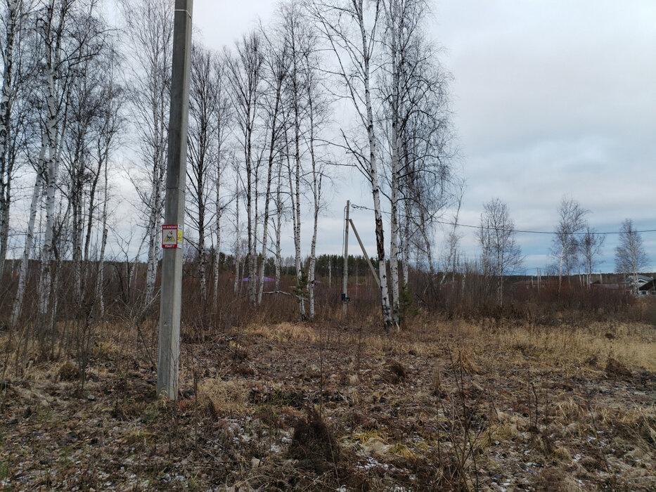 с. Кашино, ул. Лесной ручей (городской округ Сысертский) - фото земельного участка (2)