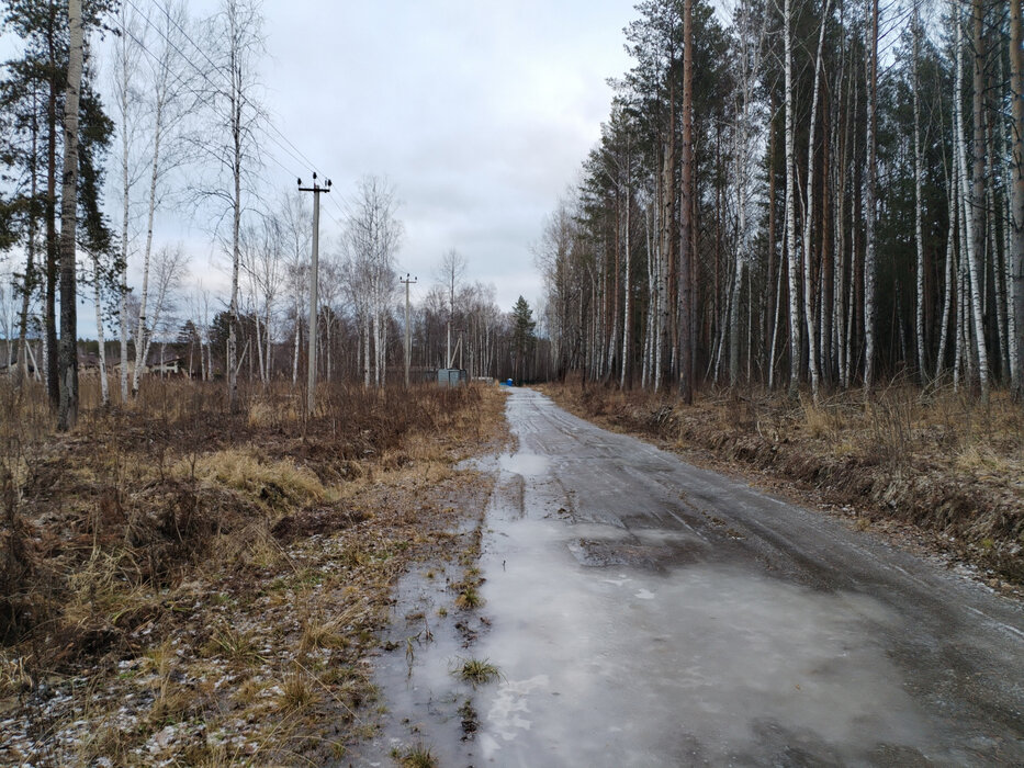 с. Кашино, ул. Лесной ручей (городской округ Сысертский) - фото земельного участка (6)