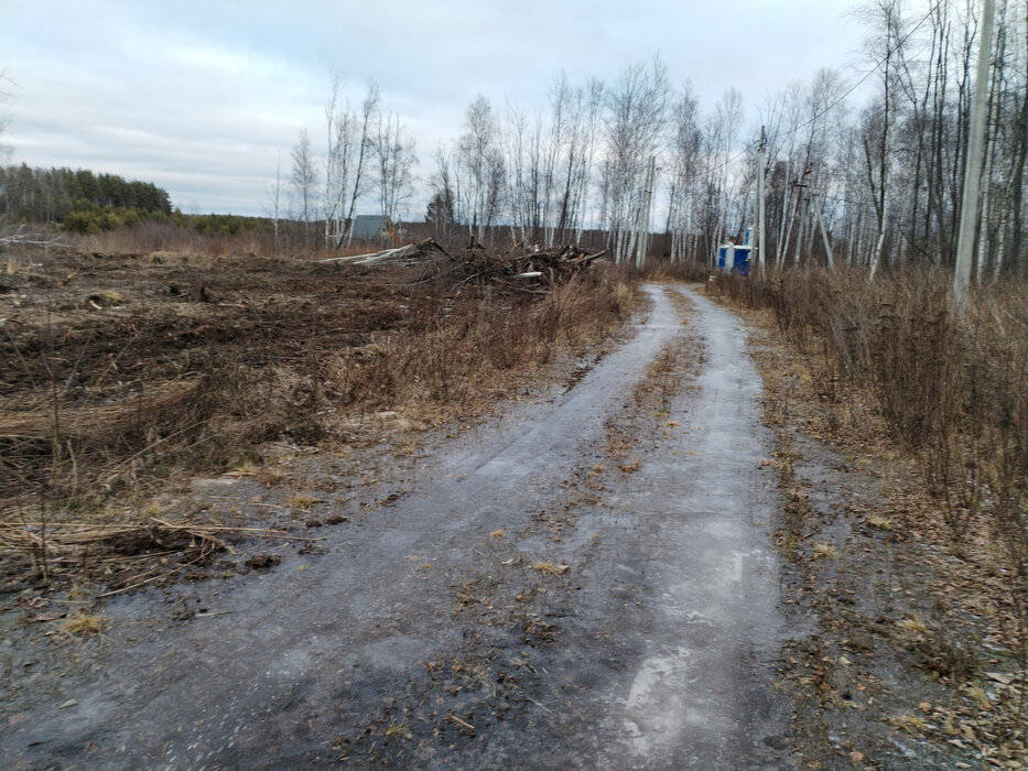 с. Кашино, ул. Лесной ручей (городской округ Сысертский) - фото земельного участка (8)