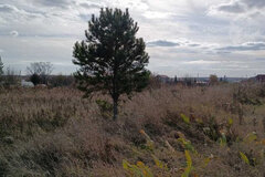 с. Черемхово, ул. 8 Марта (городской округ Город Каменск-Уральский) - фото земельного участка