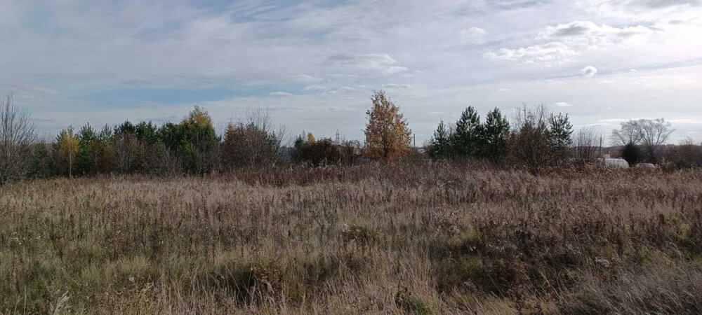 с. Черемхово, ул. 8 Марта (городской округ Город Каменск-Уральский) - фото земельного участка (4)