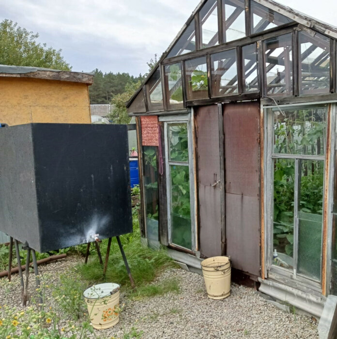 г. Заречный, СНТ Мир, уч. 54 (городской округ Заречный) - фото сада (7)