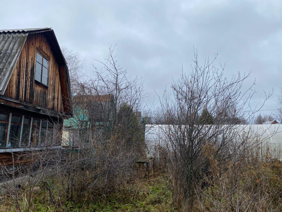 Екатеринбург, СТ Строитель СМУ-3 - фото сада (7)