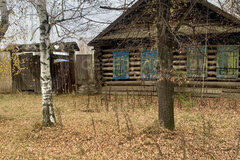 c. Шурала, ул. Карла Маркса, (городской округ Невьянский) - фото дома