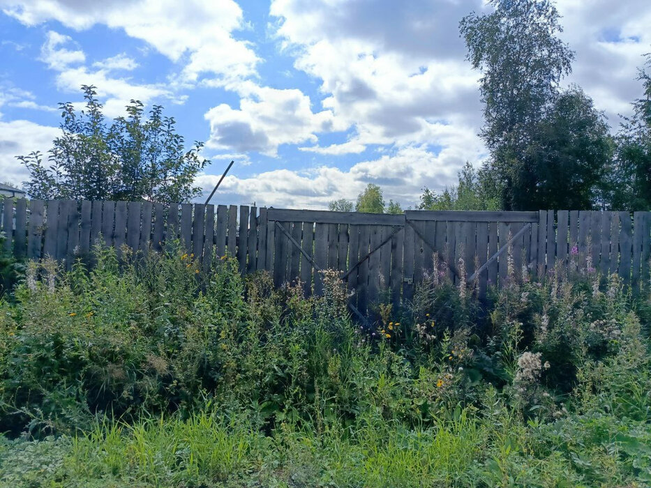 Екатеринбург, ул. 12-й Кианитовый, 4 (Полеводство) - фото земельного участка (2)