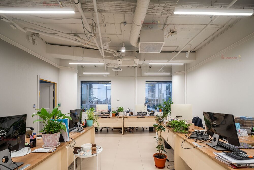 Екатеринбург, ул.Бориса Ельцина, 3/2 (Центр) - фото офисного помещения (8)