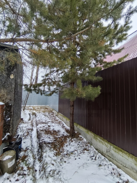 г. Арамиль, к/с Березки (городской округ Арамильский) - фото сада (6)