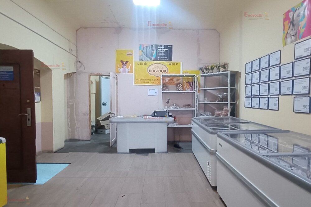 г. Первоуральск, ул. Братьев Пономаревых, 111 (городской округ Первоуральск) - фото промышленного объекта (3)