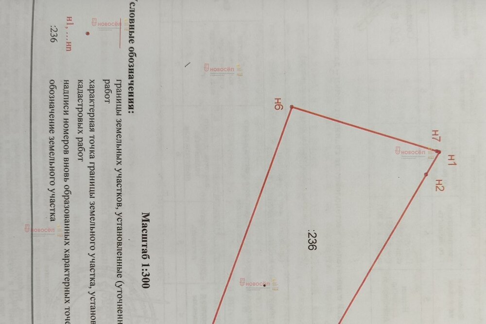п. Большой Исток, к/с Вишенка, уч. 59 (городской округ Сысертский) - фото сада (1)