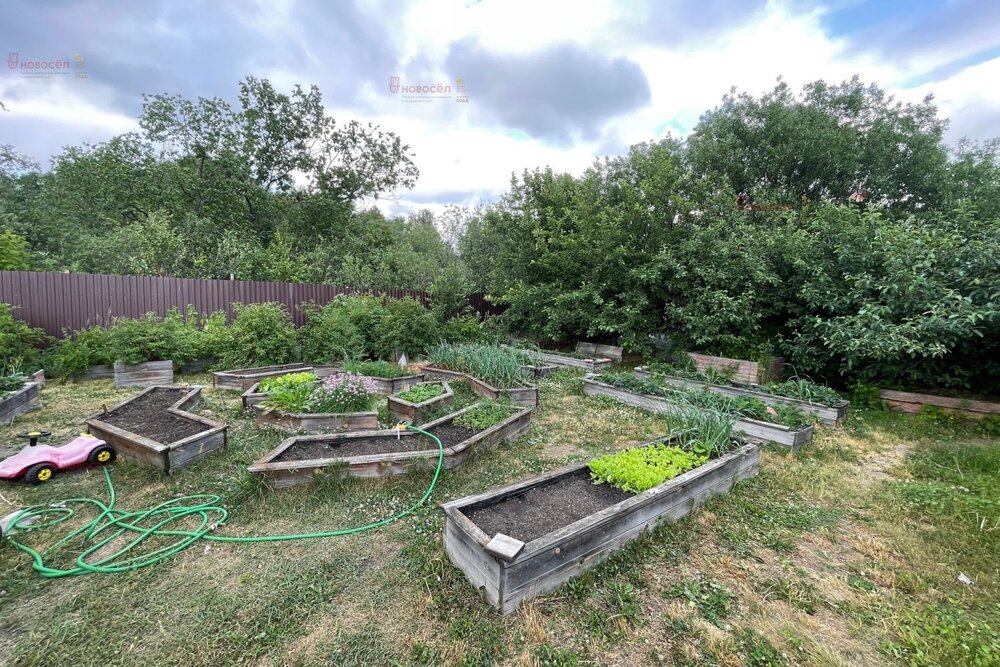 Екатеринбург, СНТ Дружба-10 - фото сада (5)