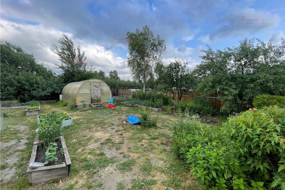 Екатеринбург, СНТ Дружба-10 - фото сада (7)