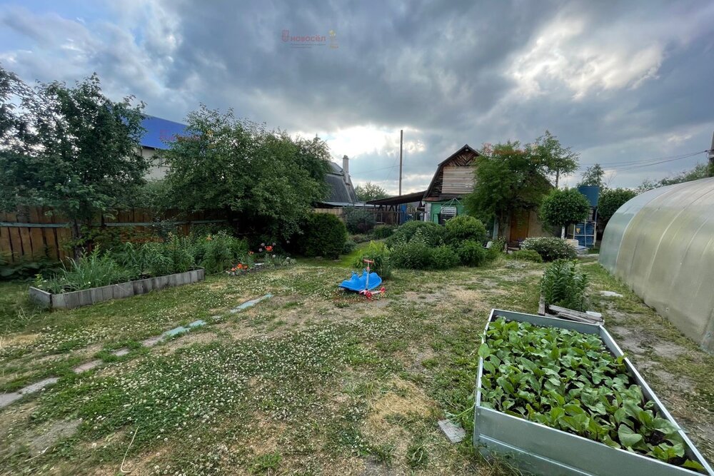 Екатеринбург, СНТ Дружба-10 - фото сада (8)