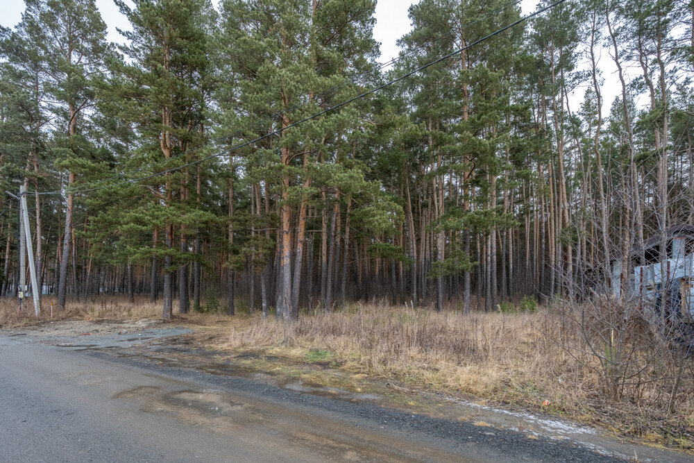 с. Кадниково, ул. Заречная, 6 (городской округ Сысертский) - фото земельного участка (2)