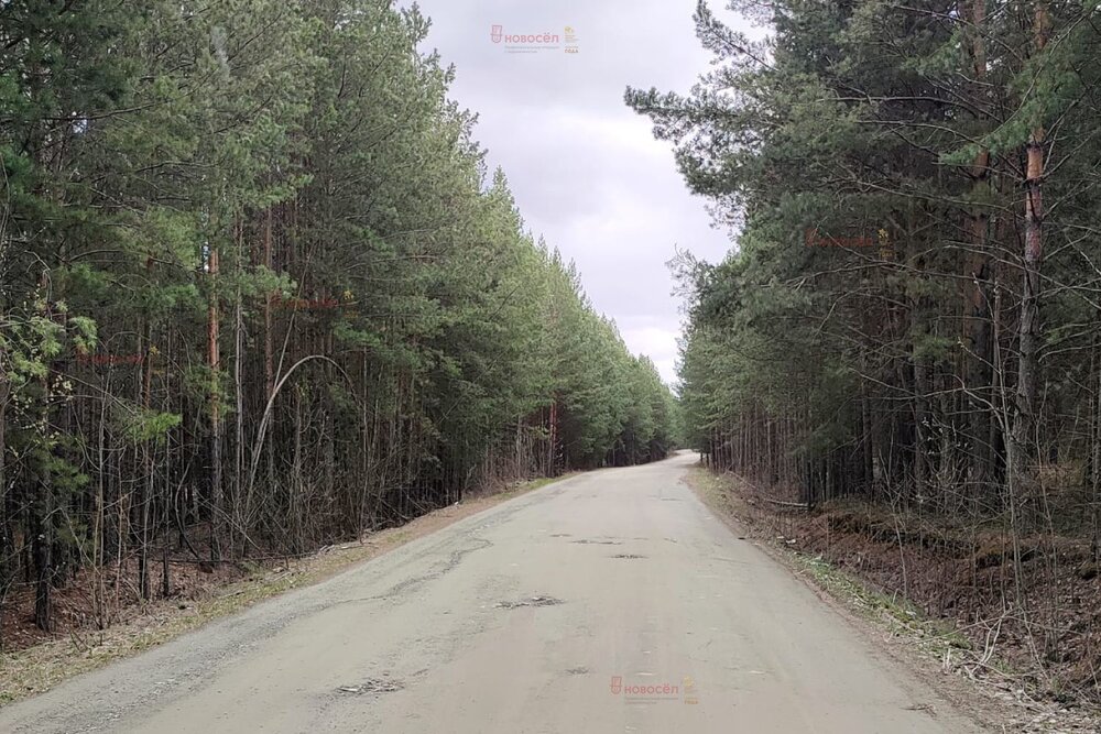 п. Бобровский, ул. Терновая (городской округ Сысертский) - фото земельного участка (8)