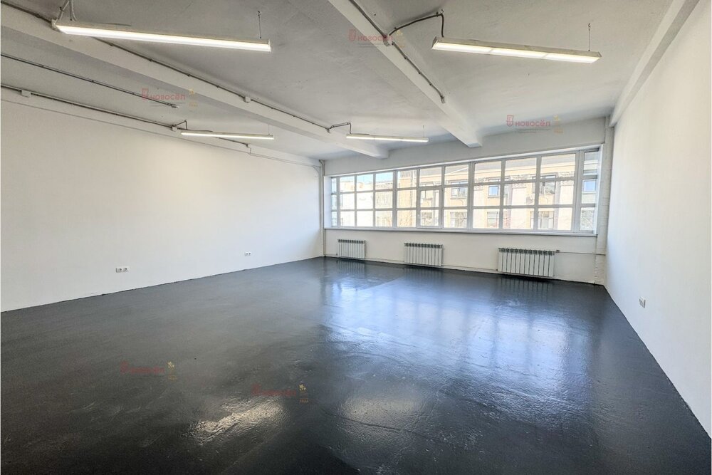 Екатеринбург, ул. Ленина, 49 (Центр) - фото офисного помещения (4)