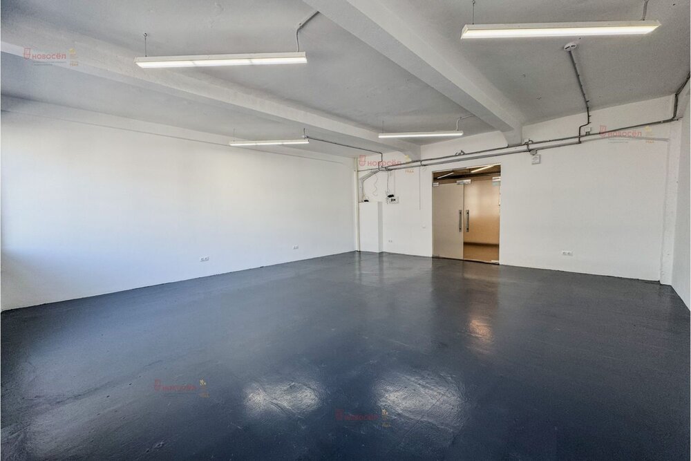 Екатеринбург, ул. Ленина, 49 (Центр) - фото офисного помещения (5)