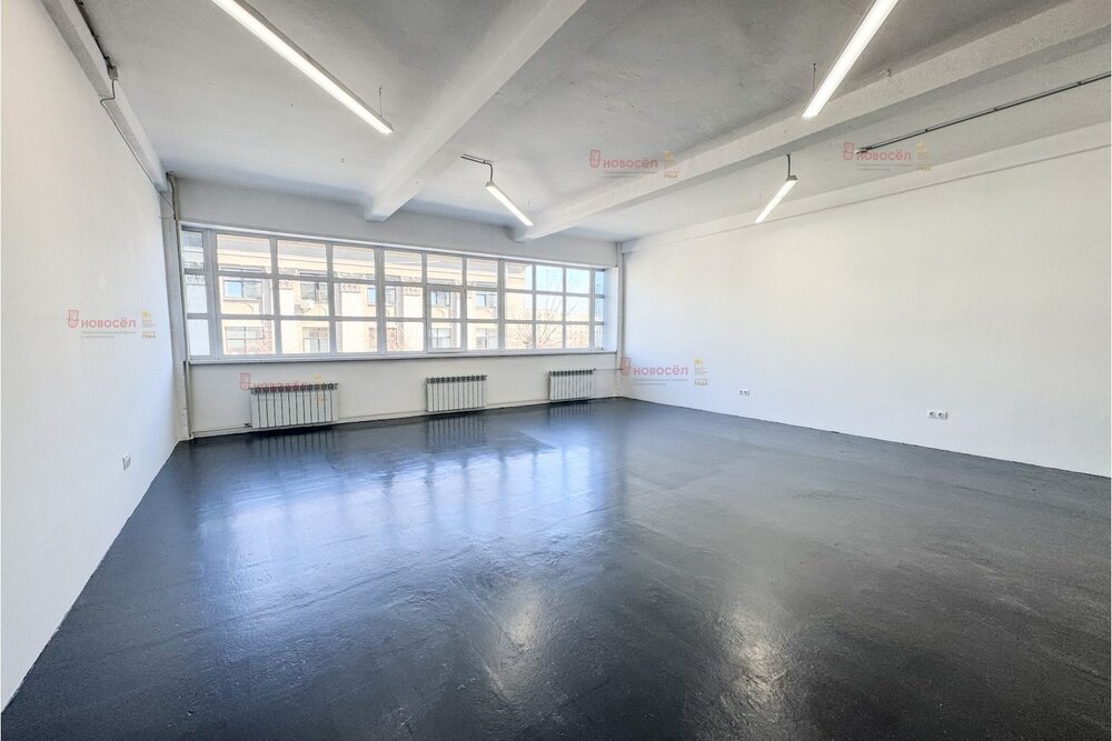 Екатеринбург, ул. Ленина, 49 (Центр) - фото офисного помещения (6)