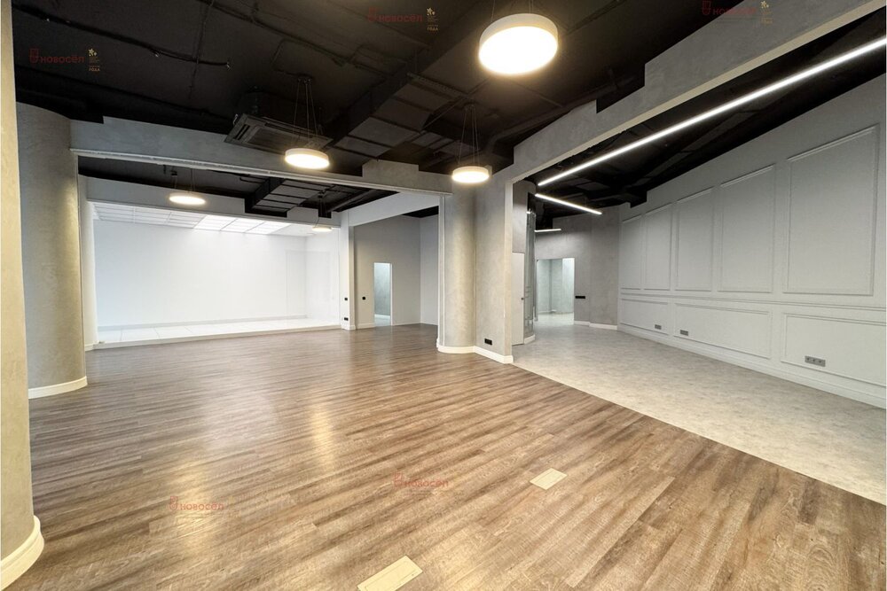 Екатеринбург, ул. Московская, 77 (Центр) - фото офисного помещения (4)