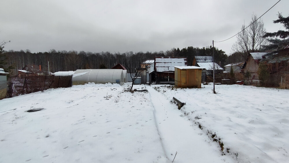 г. Верхняя Пышма, к/с Русь (городской округ Верхняя Пышма) - фото сада (2)