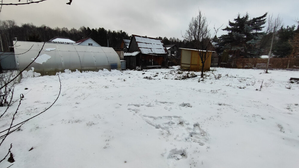 г. Верхняя Пышма, к/с Русь (городской округ Верхняя Пышма) - фото сада (4)