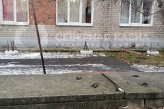 п. Троицкий, ул. Космонавтов, 1 (городской округ Талицкий) - фото квартиры