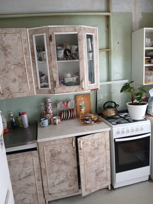 Екатеринбург, ул. Софьи Перовской, 119 (Новая Сортировка) - фото квартиры (7)