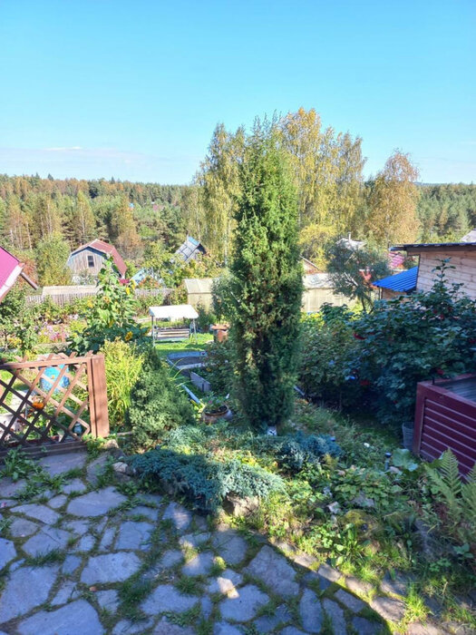 Екатеринбург, КС Буровик, уч. 69 (Палкинский торфяник) - фото сада (2)