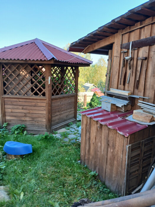 Екатеринбург, КС Буровик, уч. 69 (Палкинский торфяник) - фото сада (7)