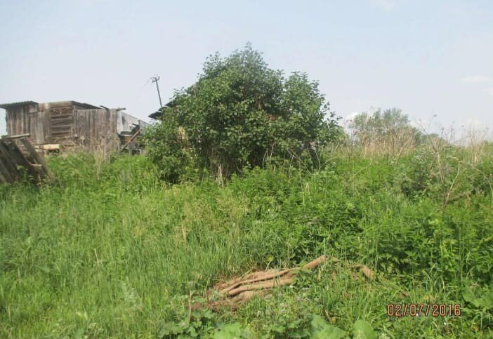 с. Пирогово, ул. Степана Разина, 1 (городской округ Каменский) - фото дома (1)