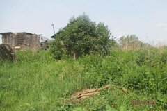 с. Пирогово, ул. Степана Разина, 1 (городской округ Каменский) - фото дома