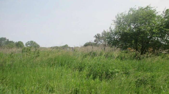 с. Пирогово, ул. Степана Разина, 1 (городской округ Каменский) - фото дома (4)