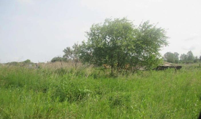 с. Пирогово, ул. Степана Разина, 1 (городской округ Каменский) - фото дома (5)